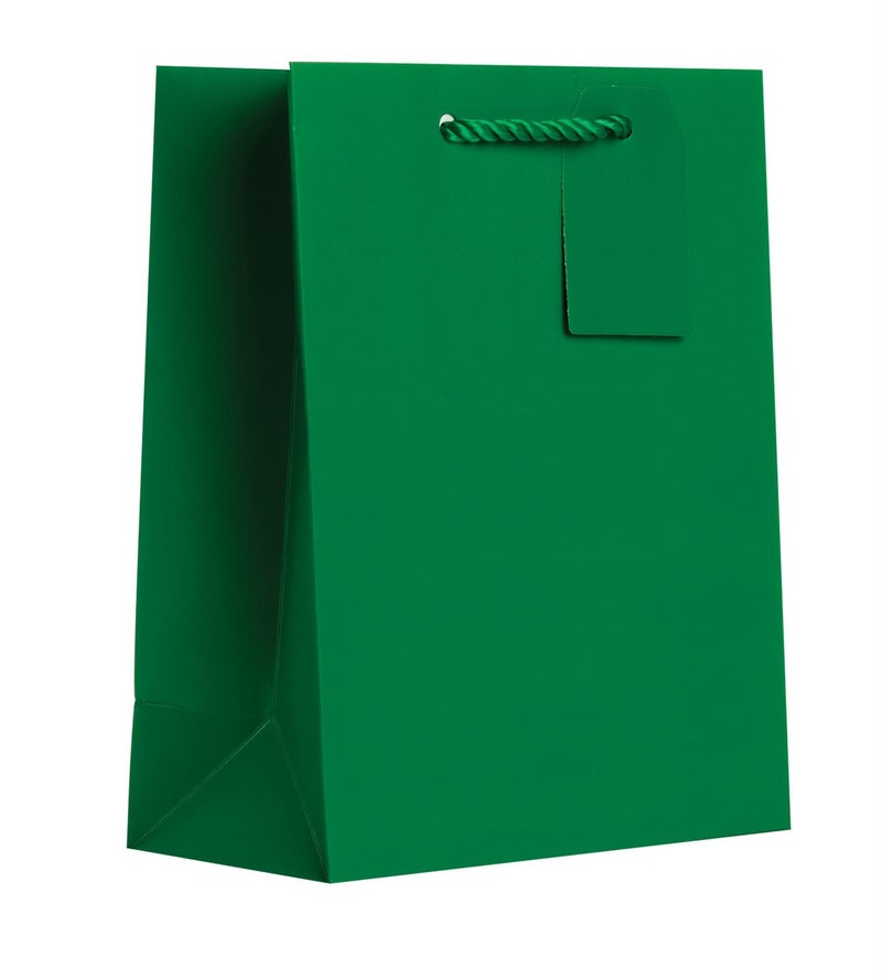 Jillson Roberts 6-Count Medium 8" x 10" x 4" All-Occasion Gift Bags Available in 20 Solid Colors, Green Matte - Image 2